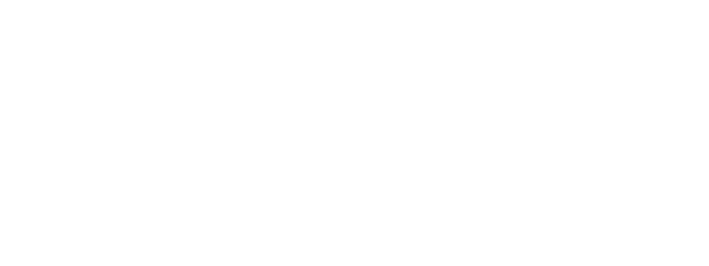 Partner 10