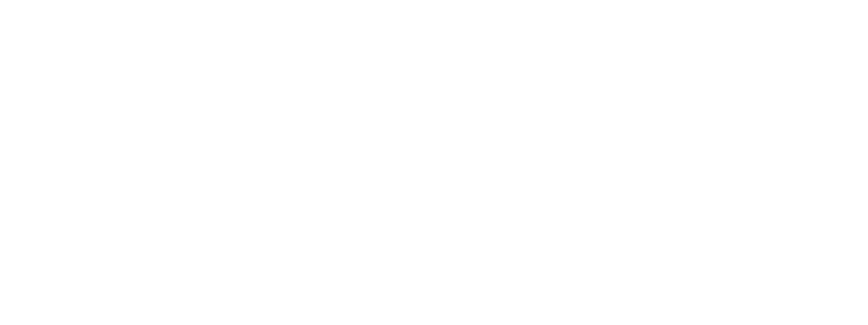 Partner 5